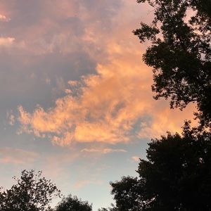 Meet your Posher, Lily